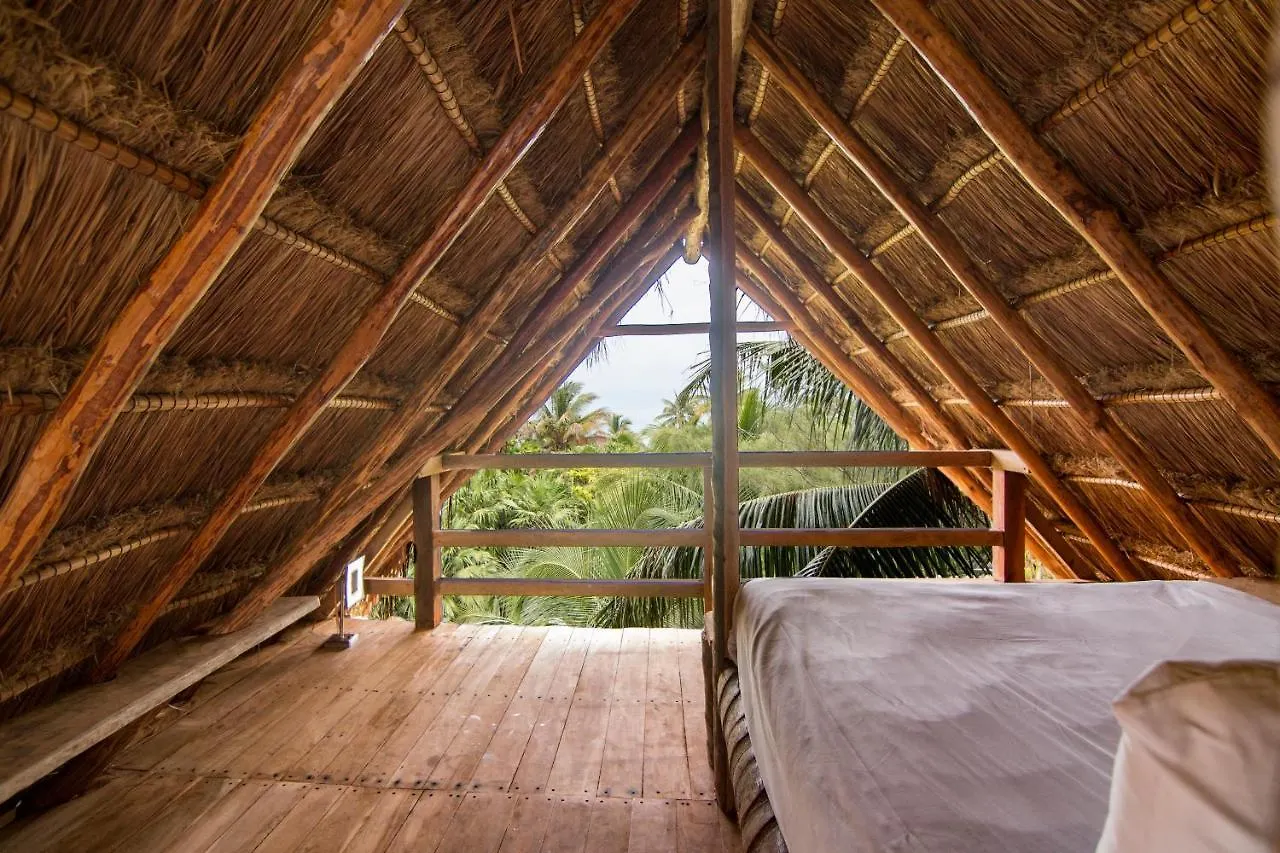 Bambu Gran Palas Hostal Party