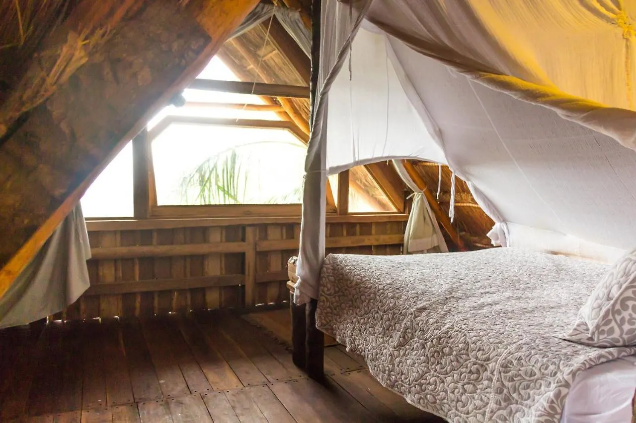 Bambu Gran Palas Hostal Party