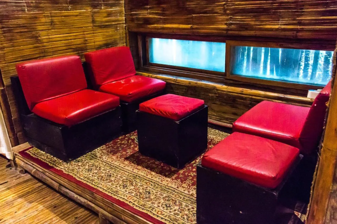 Hostel Bambu Gran Palas Hostal Party