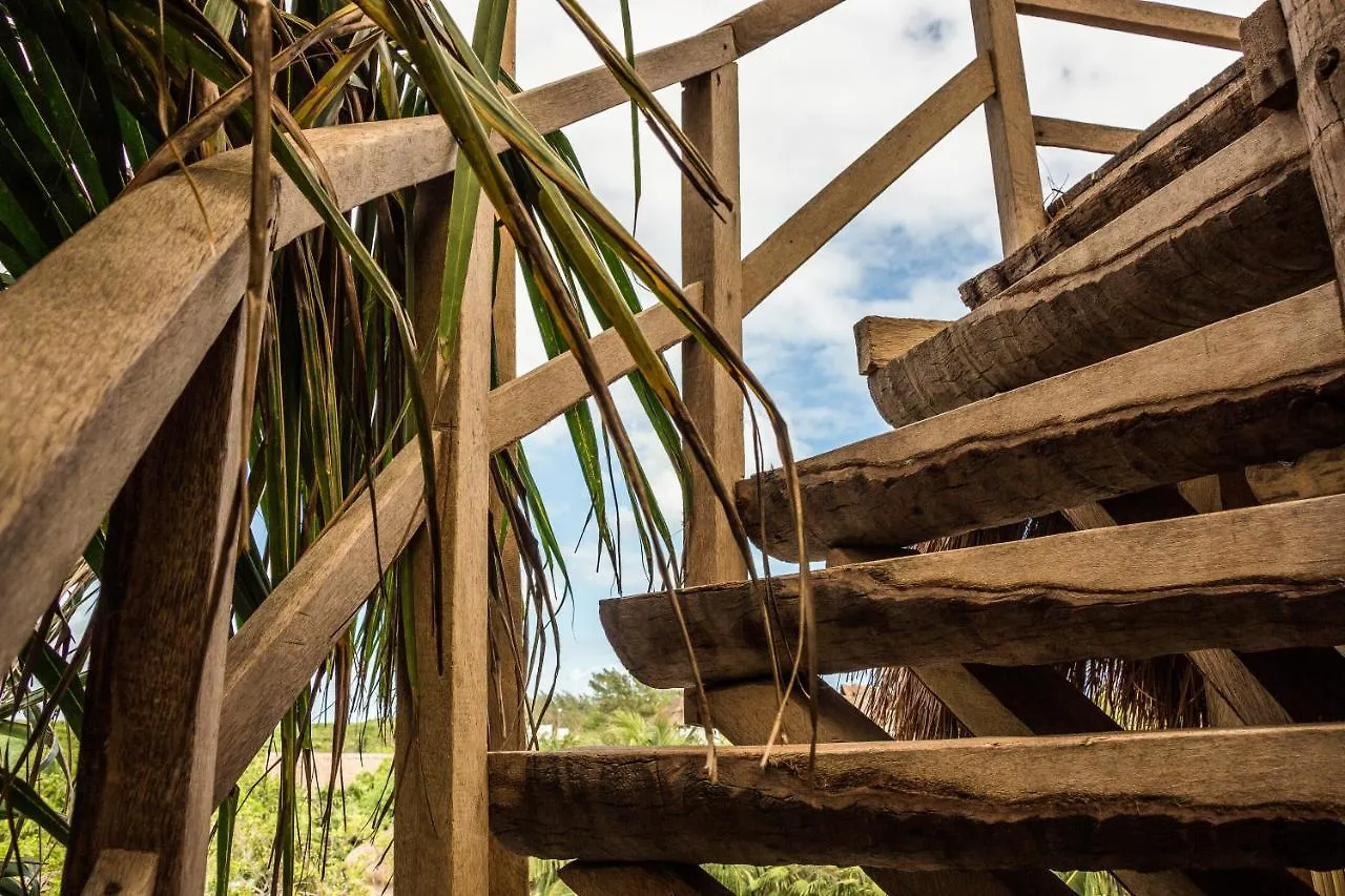 Bambu Gran Palas Hostal Party Mexico