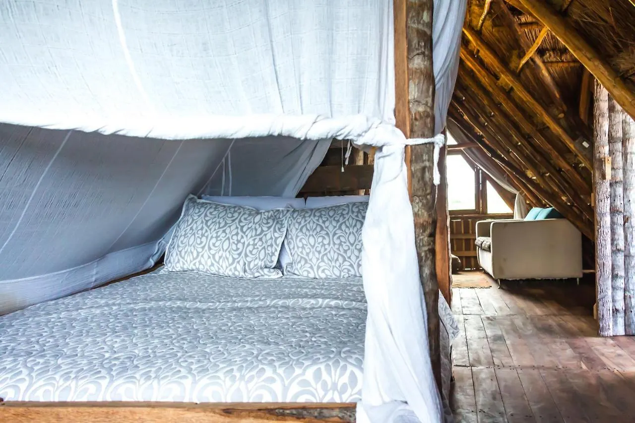 Bambu Gran Palas Hostal Party Mexico