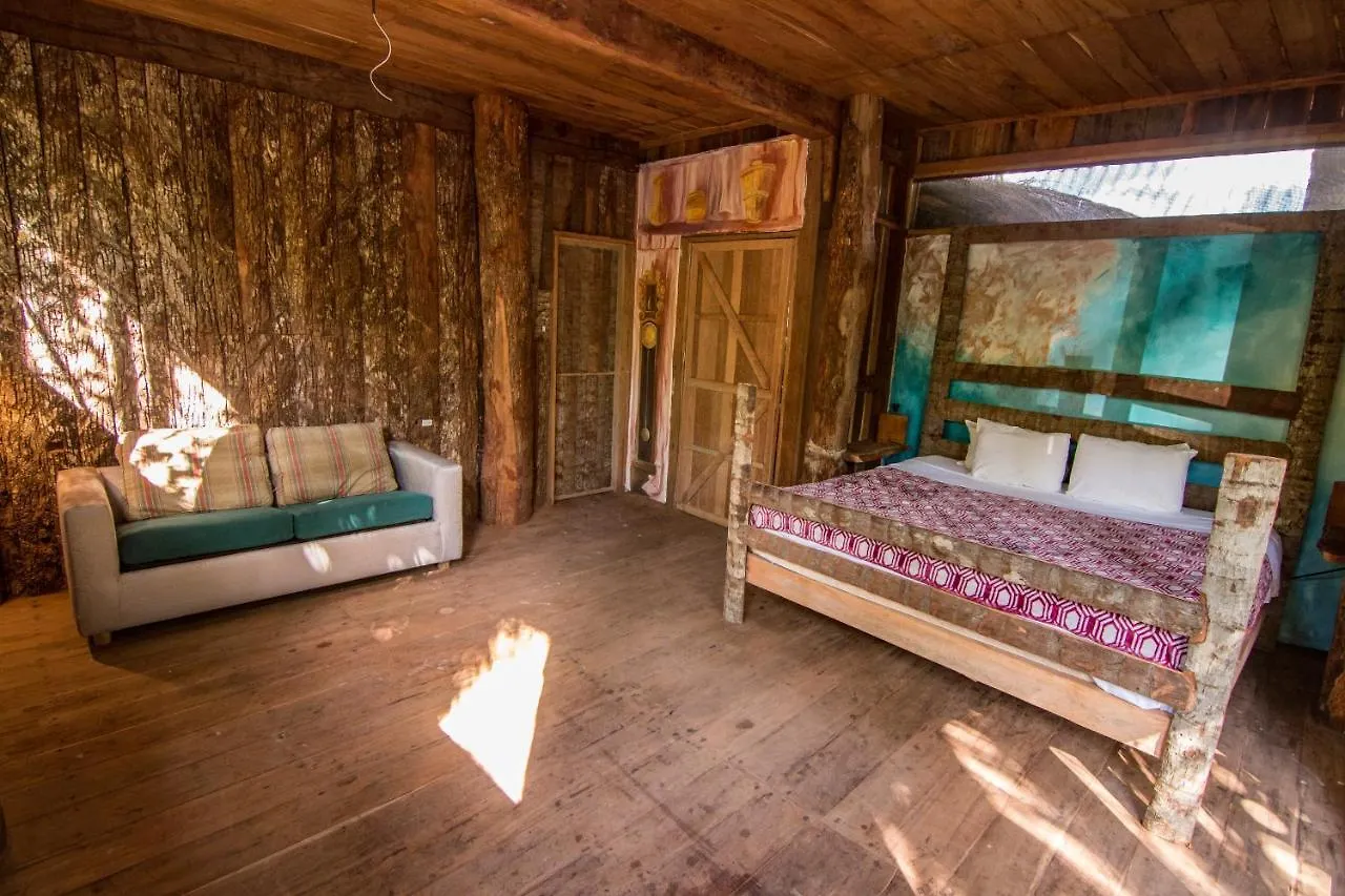 Hostel Bambu Gran Palas Hostal Party