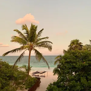 Libelula Beachfront Hotel Tulum
