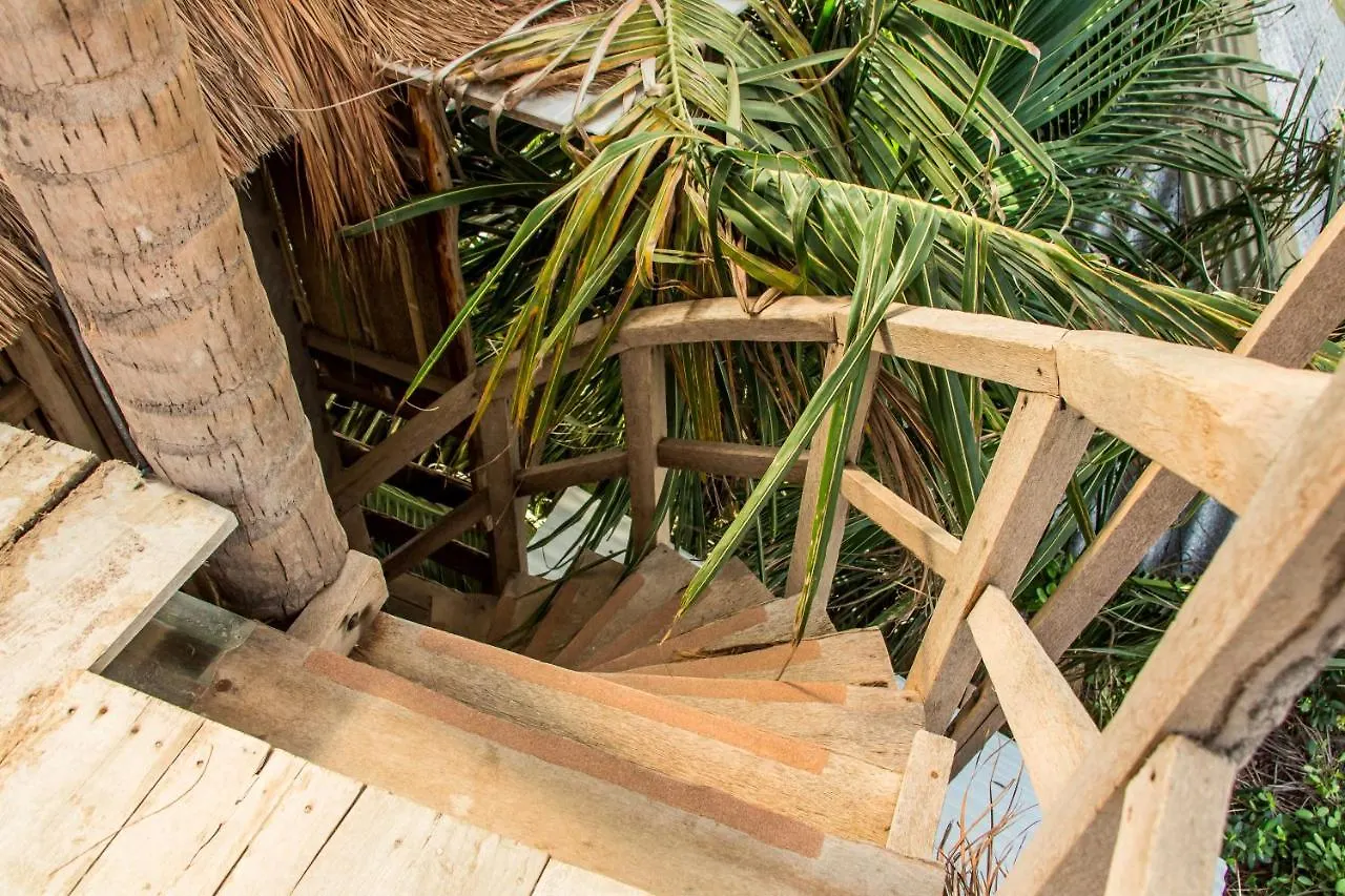 Bambu Gran Palas Hostal Party 0*, Tulum Mexico