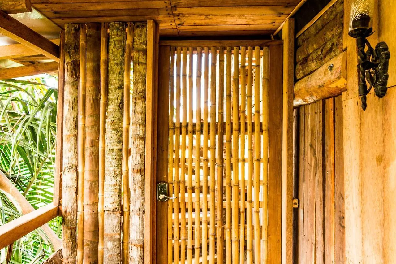 Bambu Gran Palas Hostal Party 旅馆 图卢姆