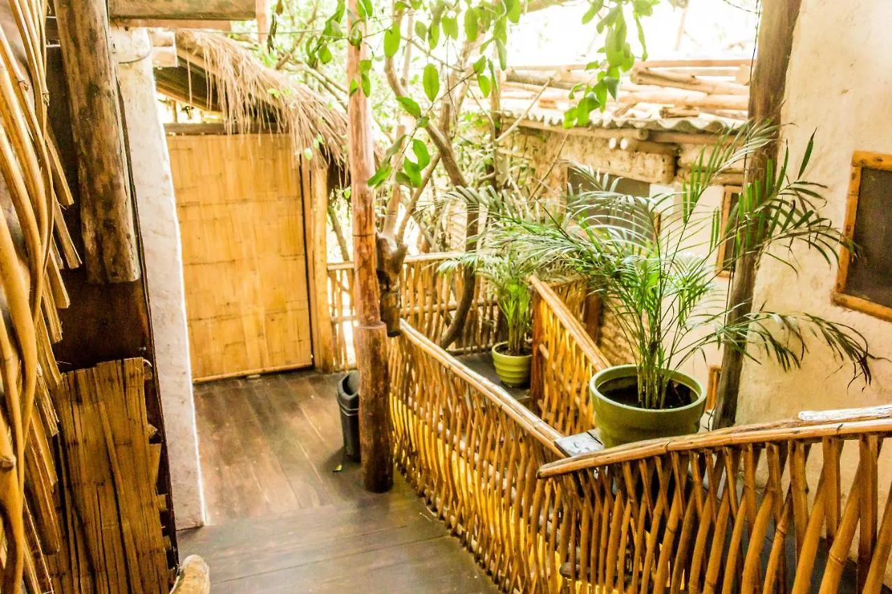 Bambu Gran Palas Hostal Party 图卢姆
